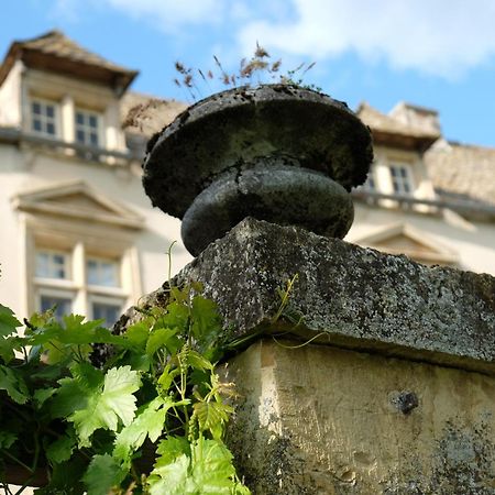 Chateau De Balsac Druelle Balsac 外观 照片