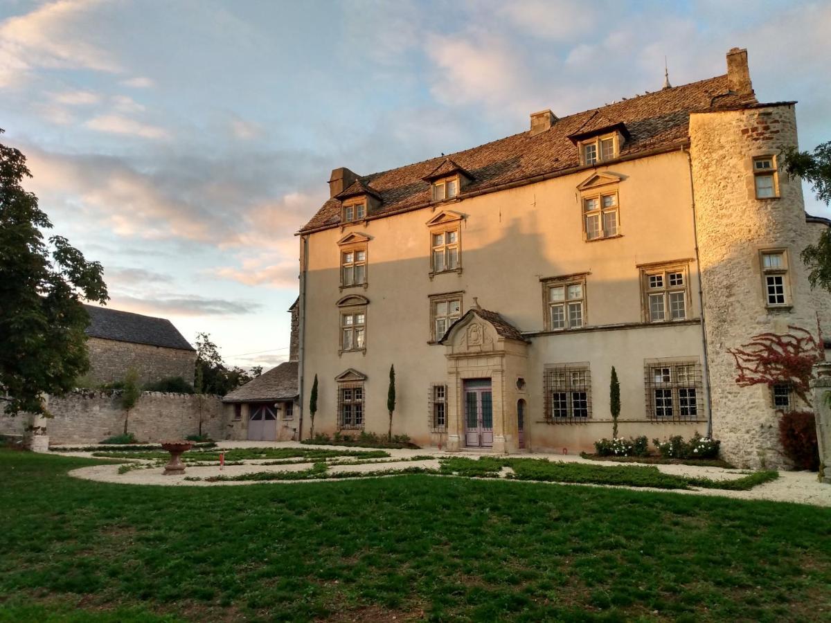 Chateau De Balsac Druelle Balsac 外观 照片