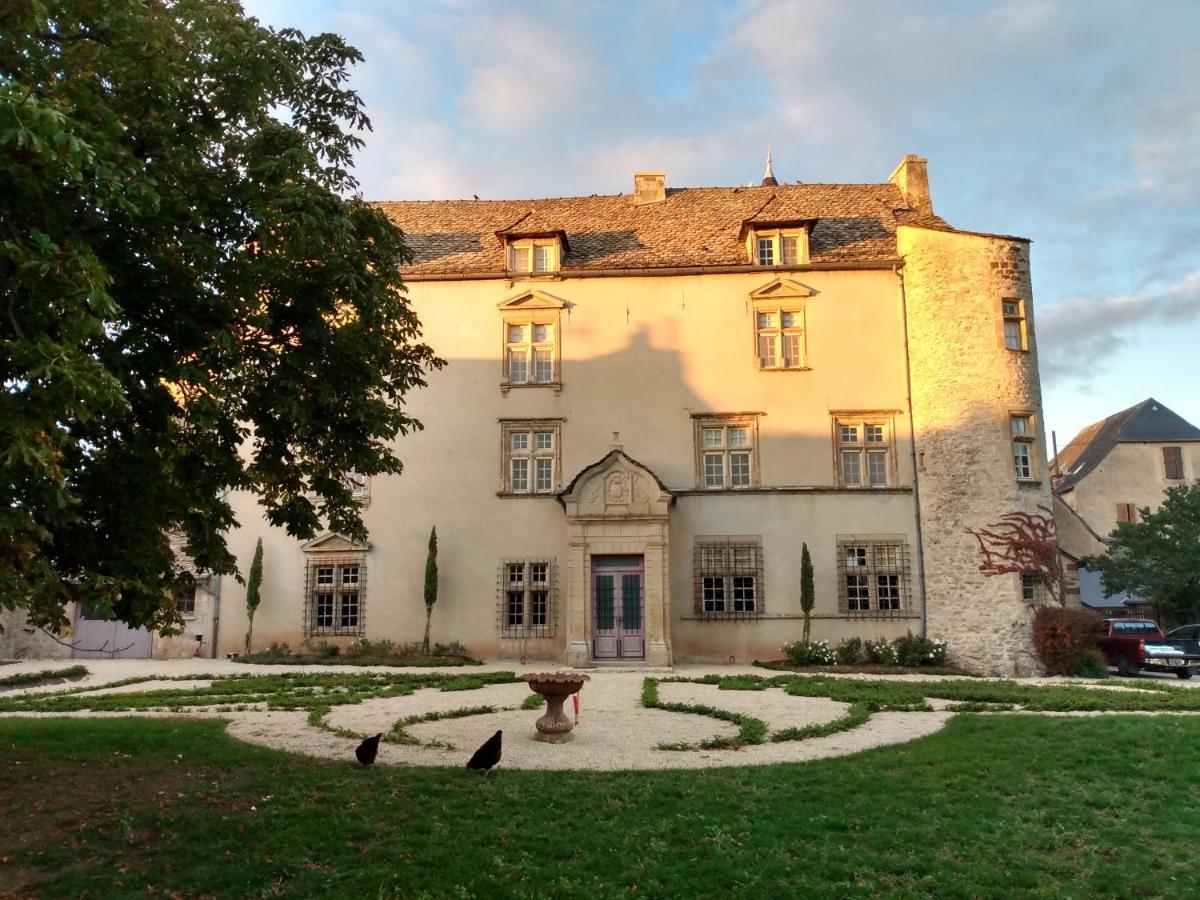 Chateau De Balsac Druelle Balsac 外观 照片