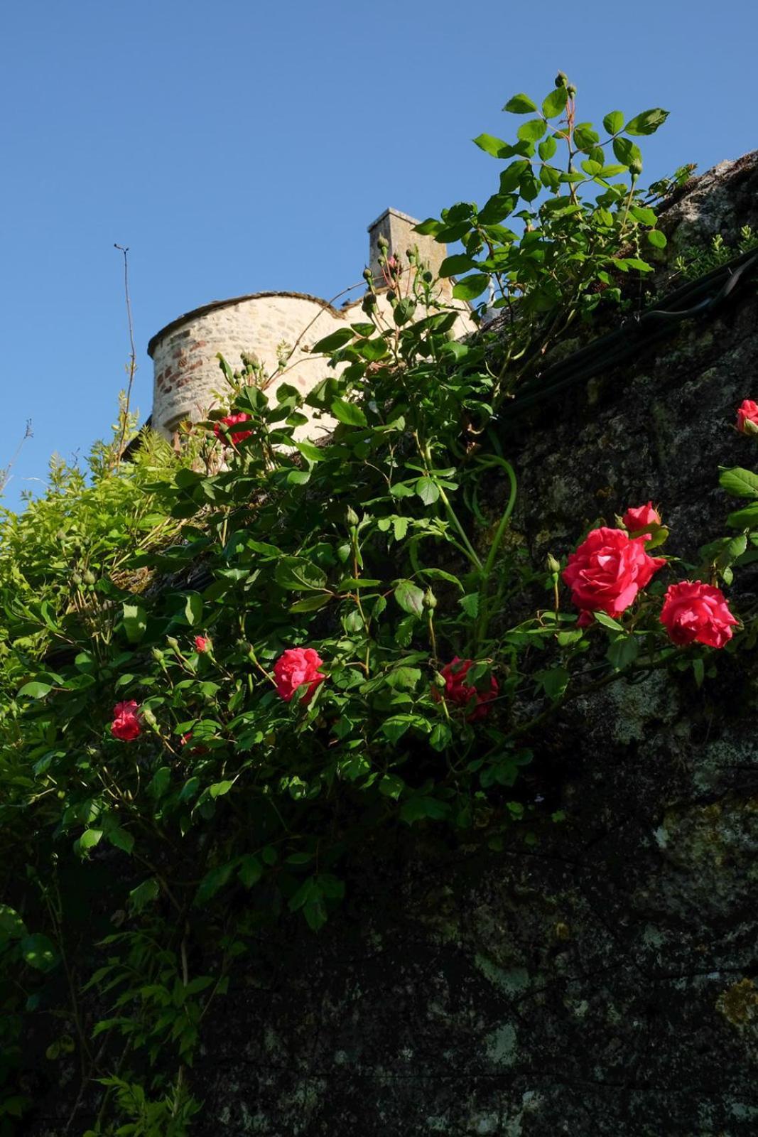 Chateau De Balsac Druelle Balsac 外观 照片