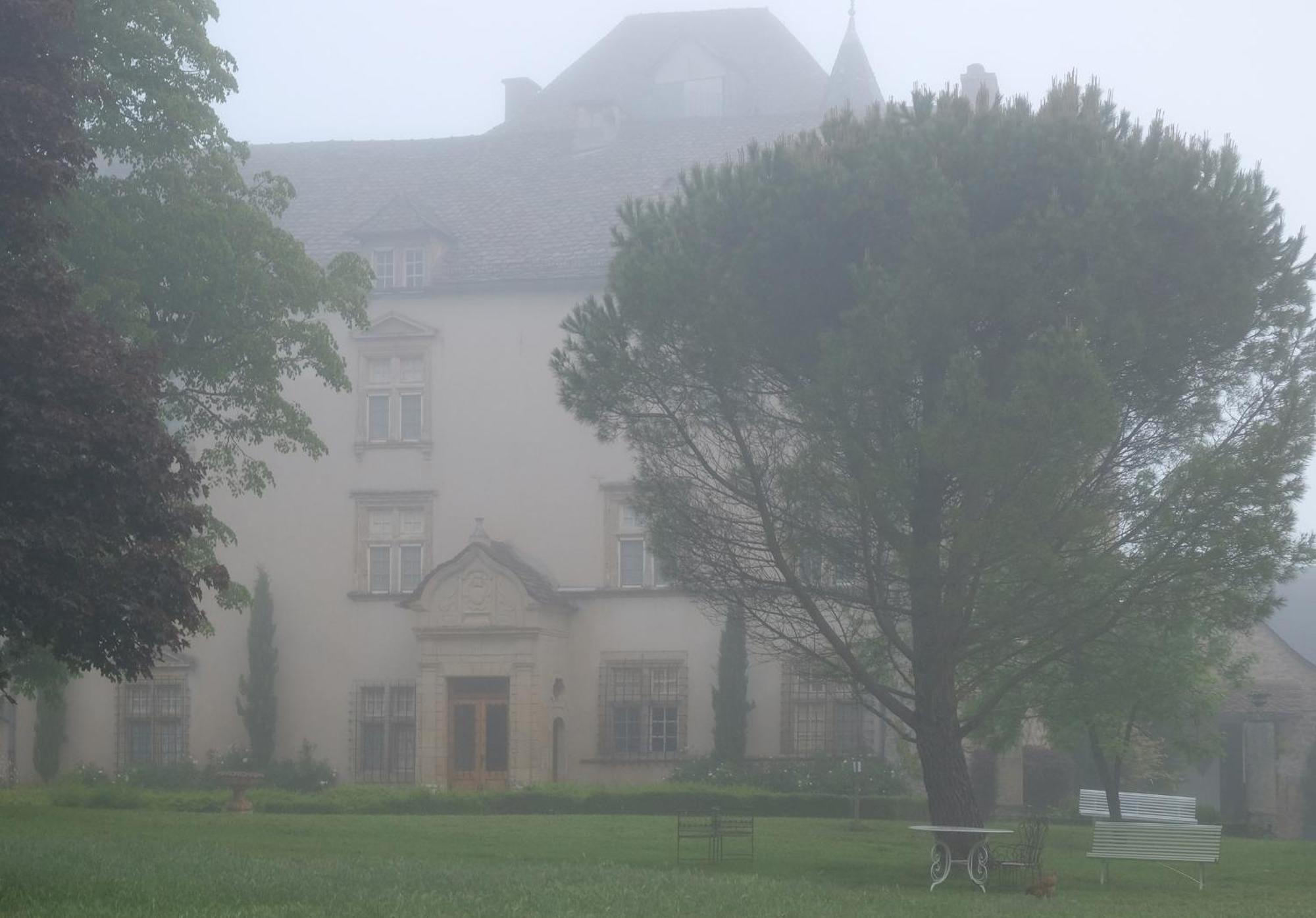 Chateau De Balsac Druelle Balsac 外观 照片
