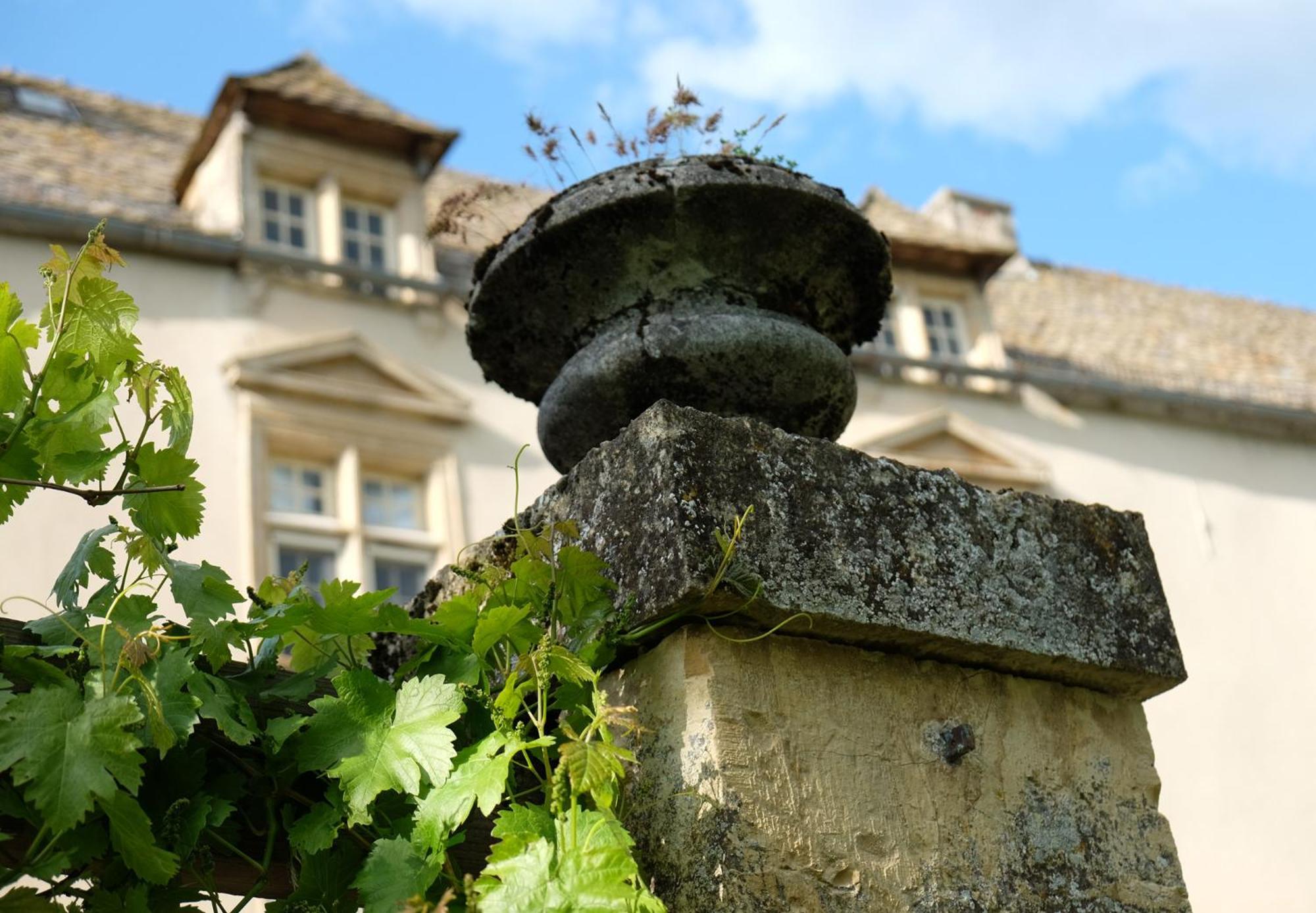 Chateau De Balsac Druelle Balsac 外观 照片