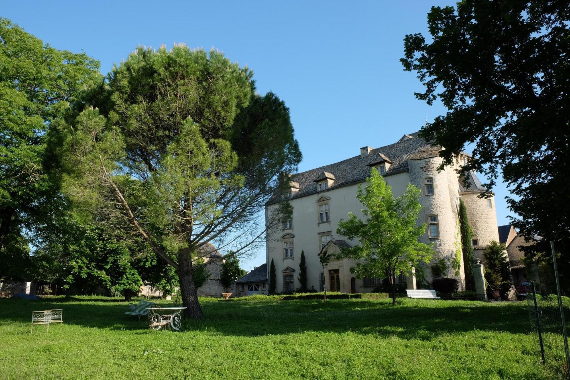 Chateau De Balsac Druelle Balsac 外观 照片