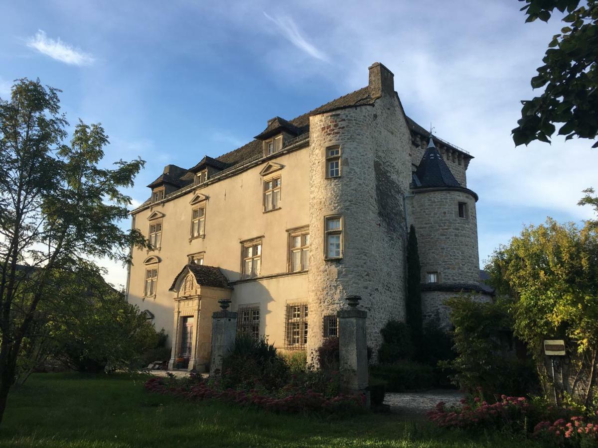 Chateau De Balsac Druelle Balsac 外观 照片